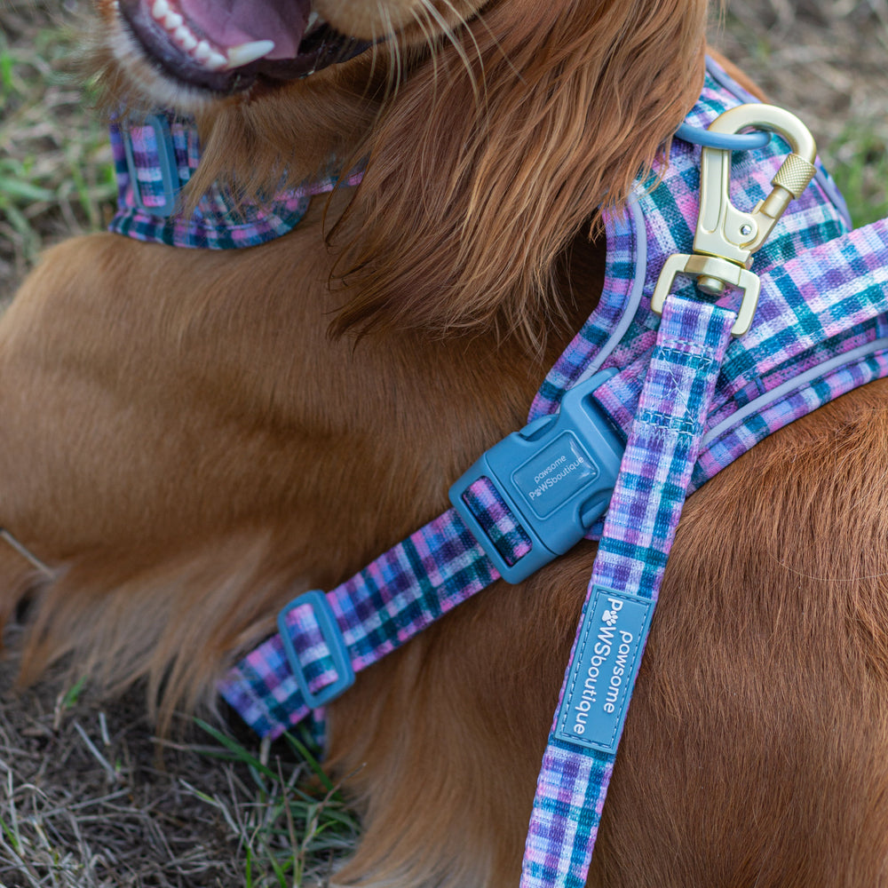 Lead - Tweed Twilight