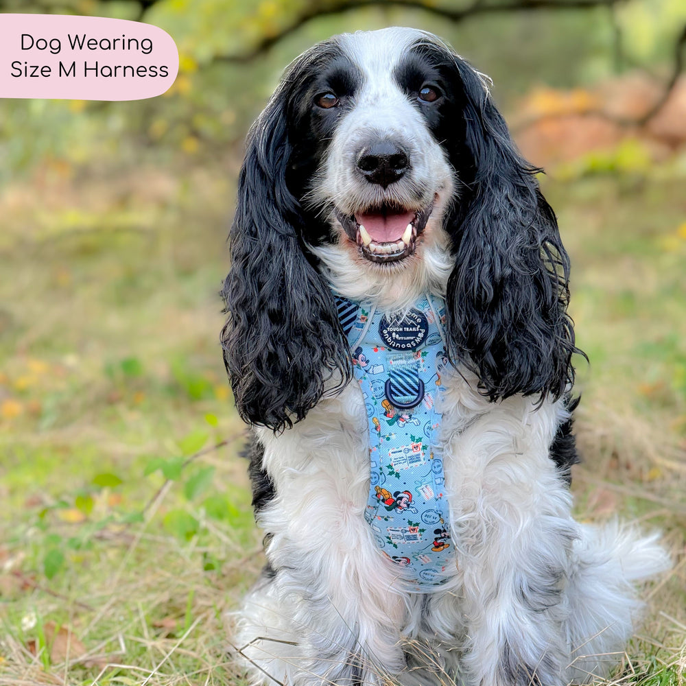 Disney© Tough Trails™ Harness - Santas Mickey Mail
