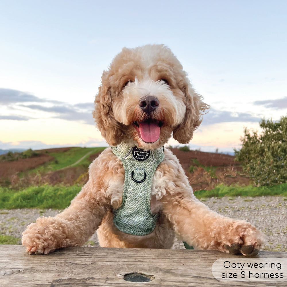 Tough Trails™ Harness - Country Thyme