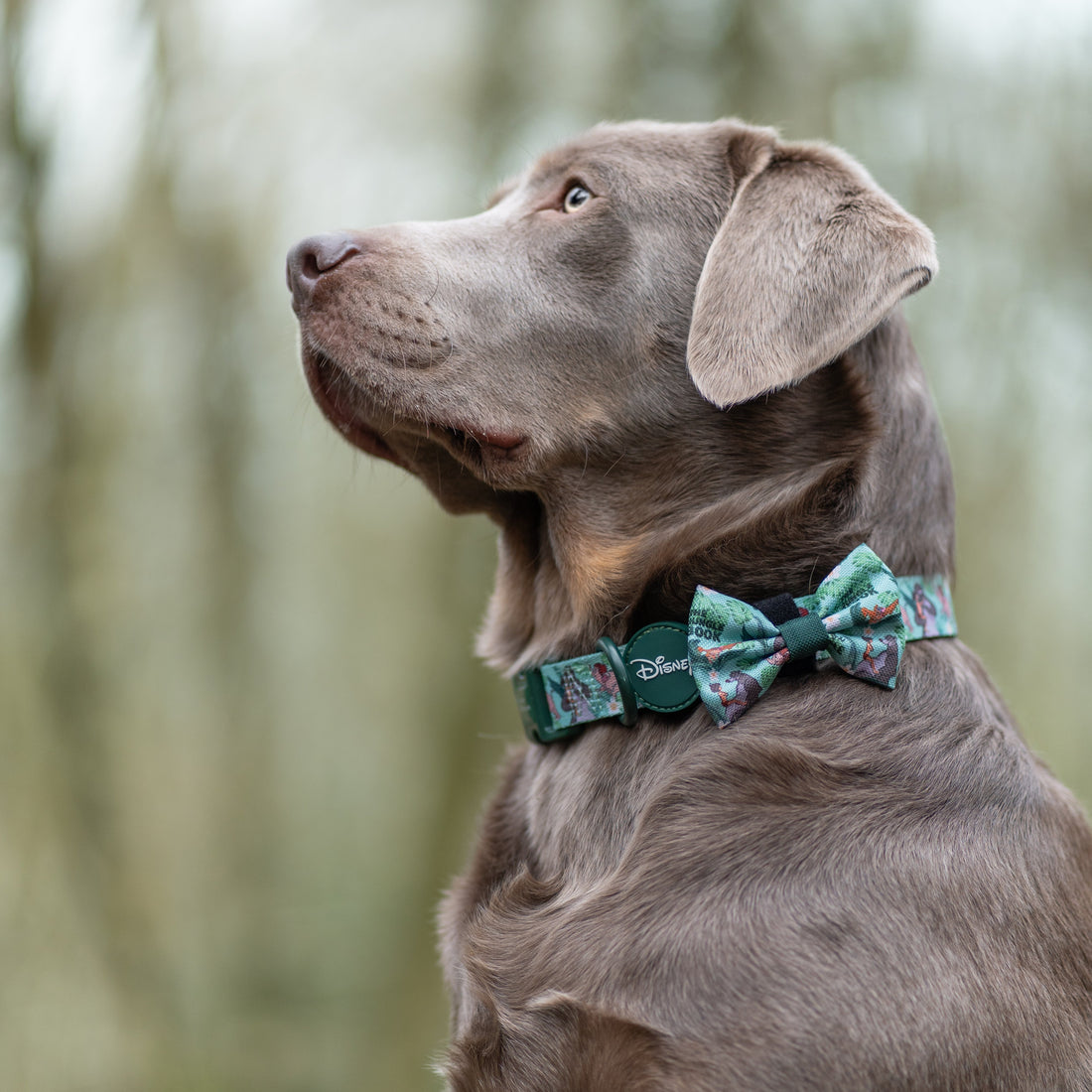 Disney© Bow Tie - Jungle Book
