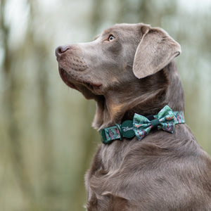 Disney© Bow Tie - Jungle Book