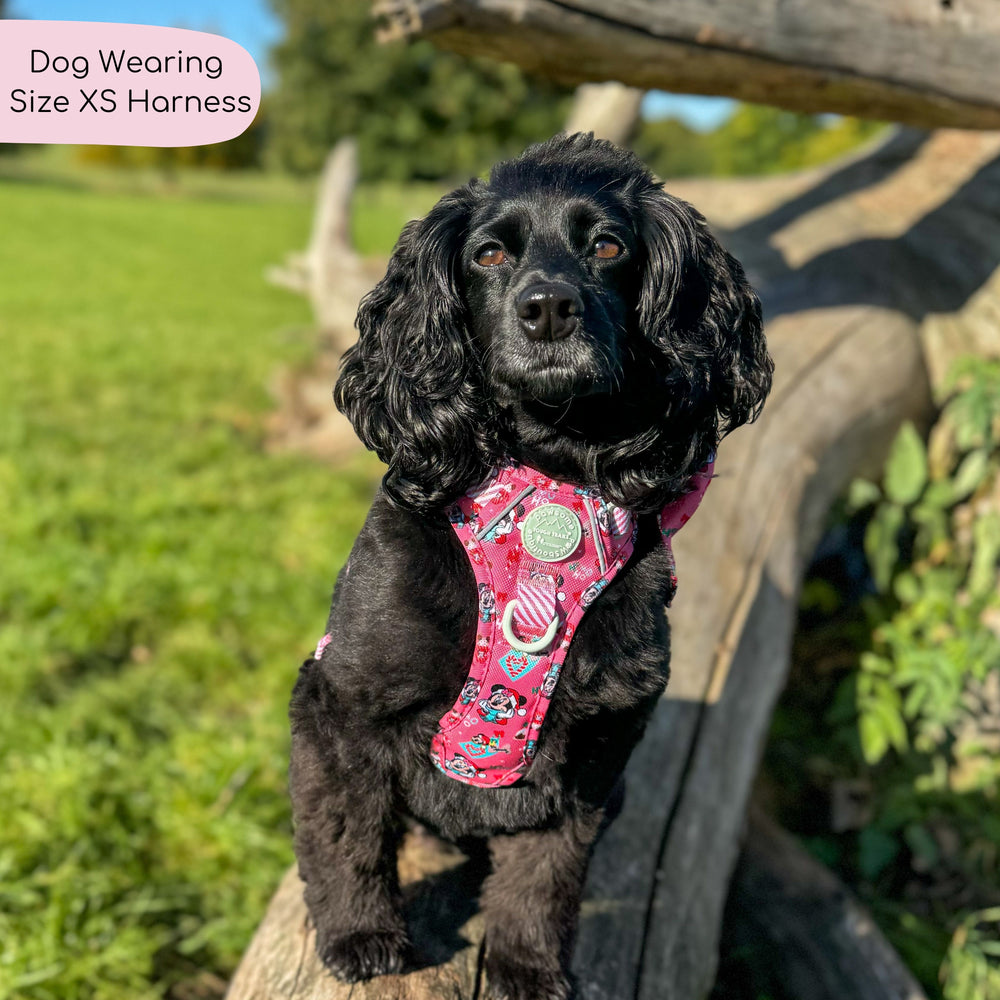 Disney© Tough Trails™ Harness -  Minnie's Christmas