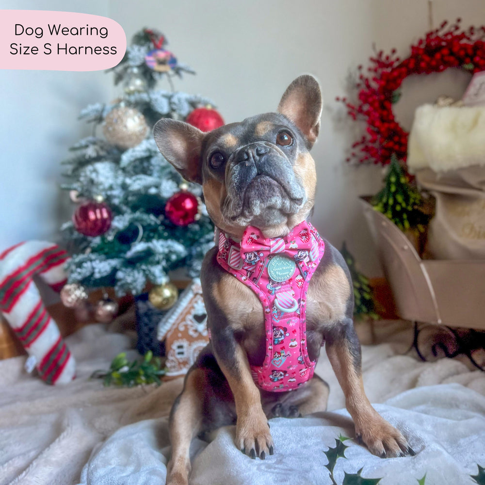Disney© Tough Trails™ Harness -  Minnie's Christmas