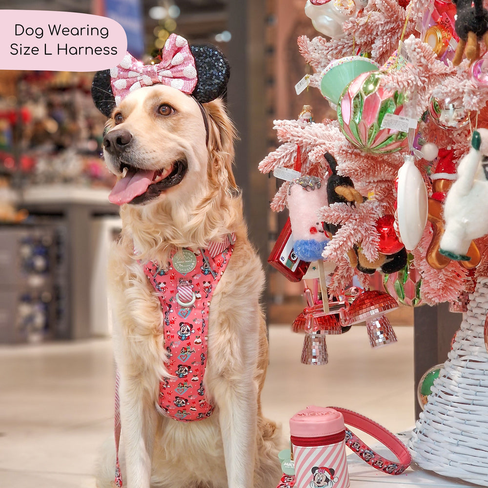 Disney© Tough Trails™ Harness -  Minnie's Christmas