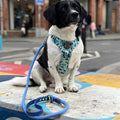 4ft Rope Lead - Walkies Ready® Cornflower Blue