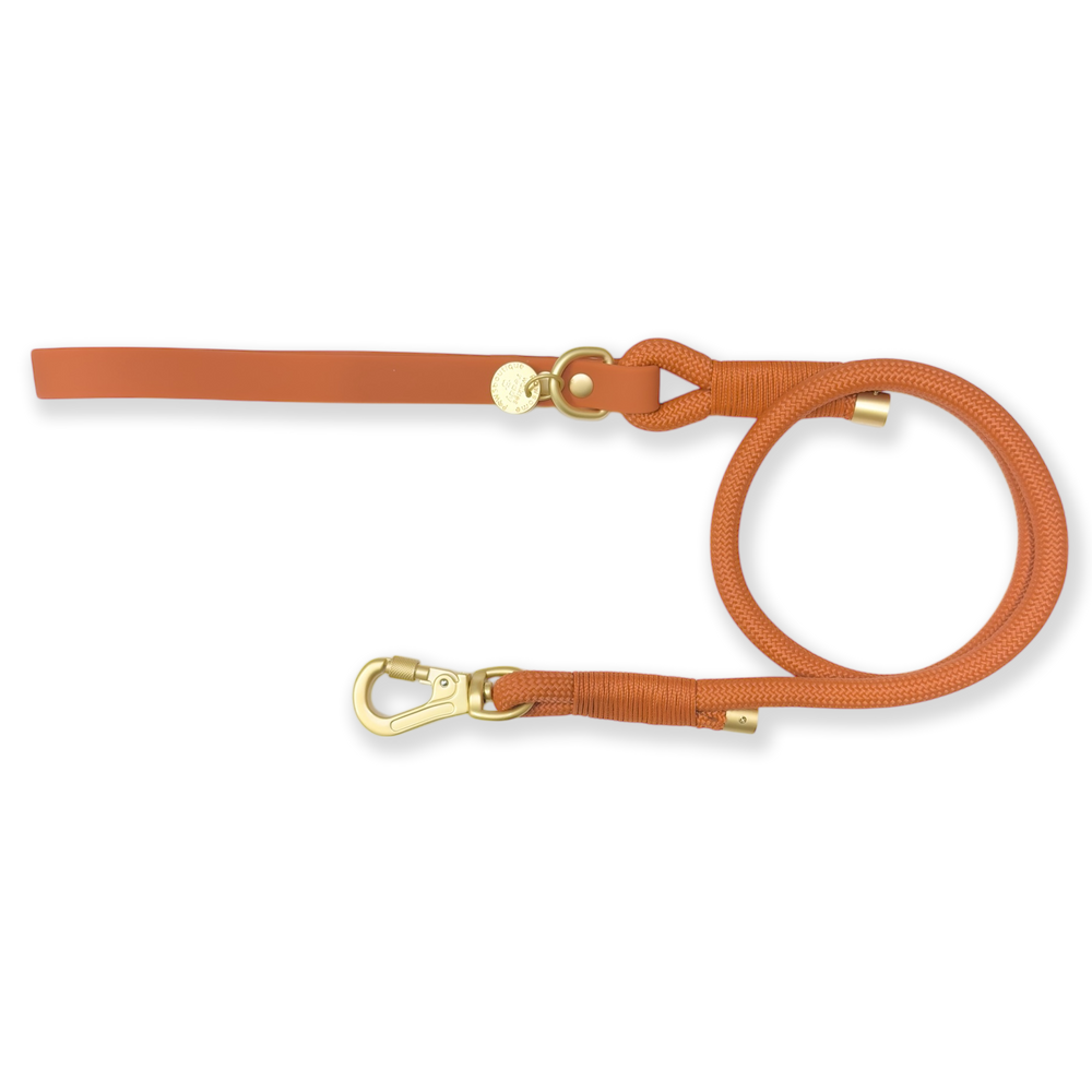 4ft Rope Lead - Rust