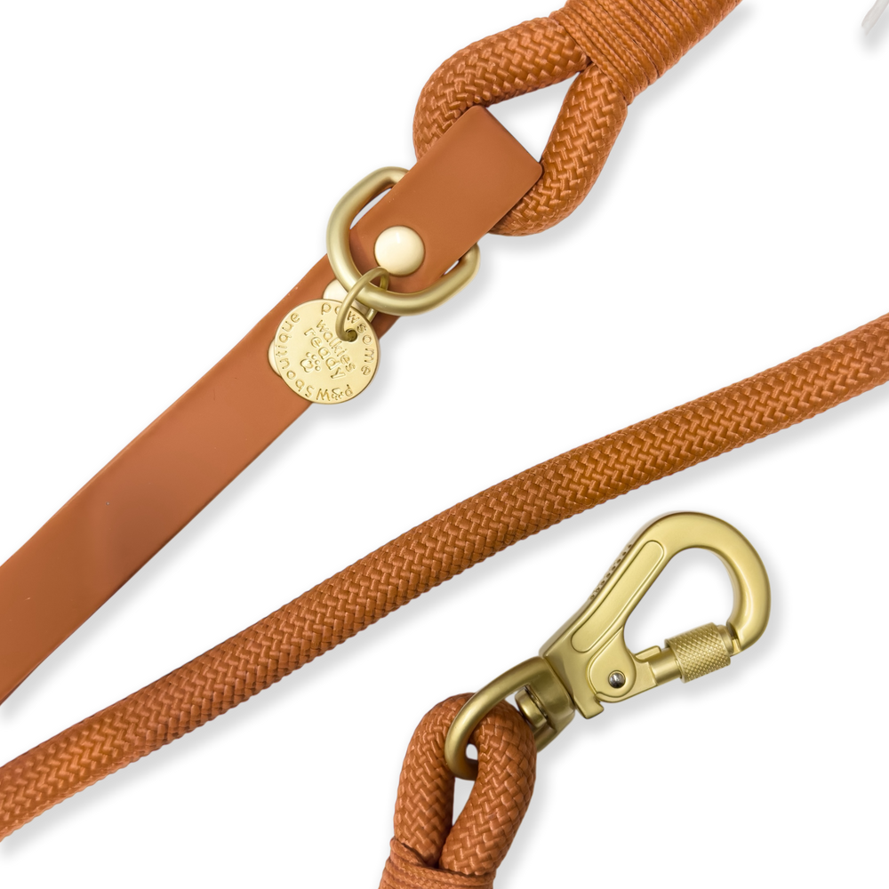 4ft Rope Lead - Rust