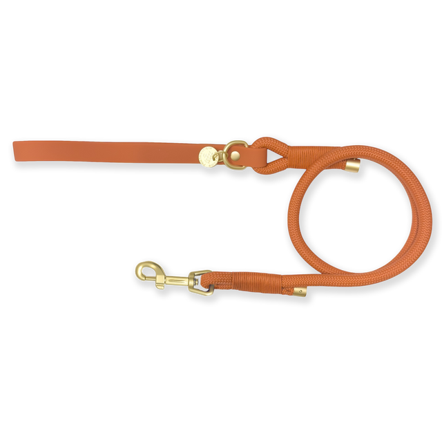 4ft Rope Lead - Rust (new clip)