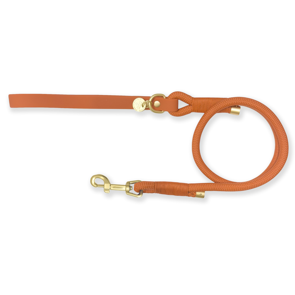 4ft Rope Lead - Rust (new clip)
