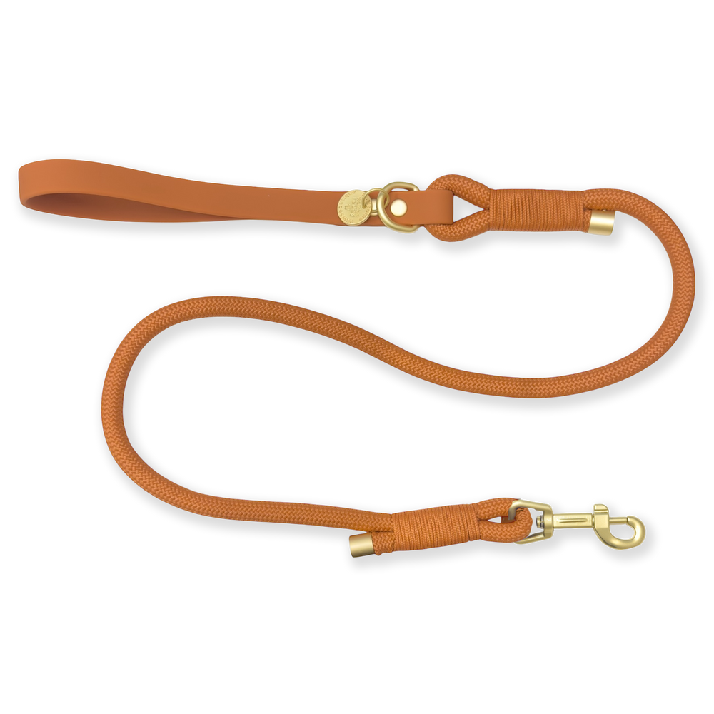 4ft Rope Lead - Rust (new clip)