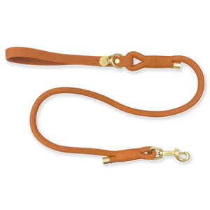 4ft Rope Lead - Rust (new clip)