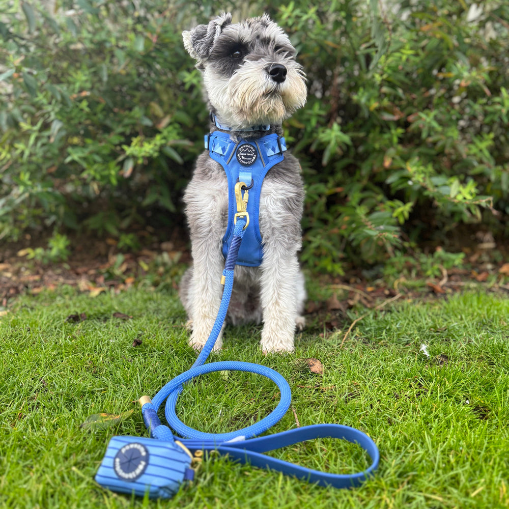 4ft Rope Lead - Walkies Ready® Cornflower Blue