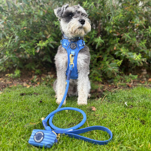 4ft Rope Lead - Walkies Ready® Cornflower Blue