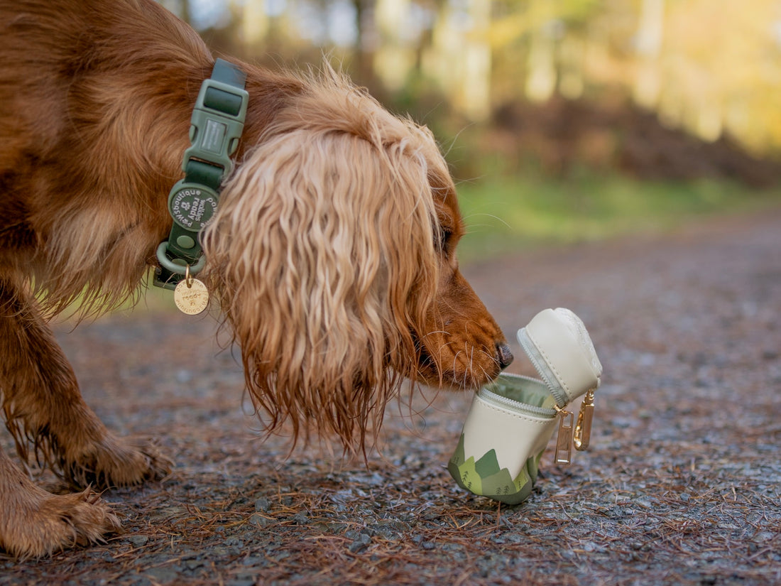 Treat Pouch - Walkies Ready® Forest Green