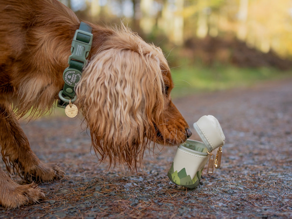 Treat Pouch - Walkies Ready® Forest Green