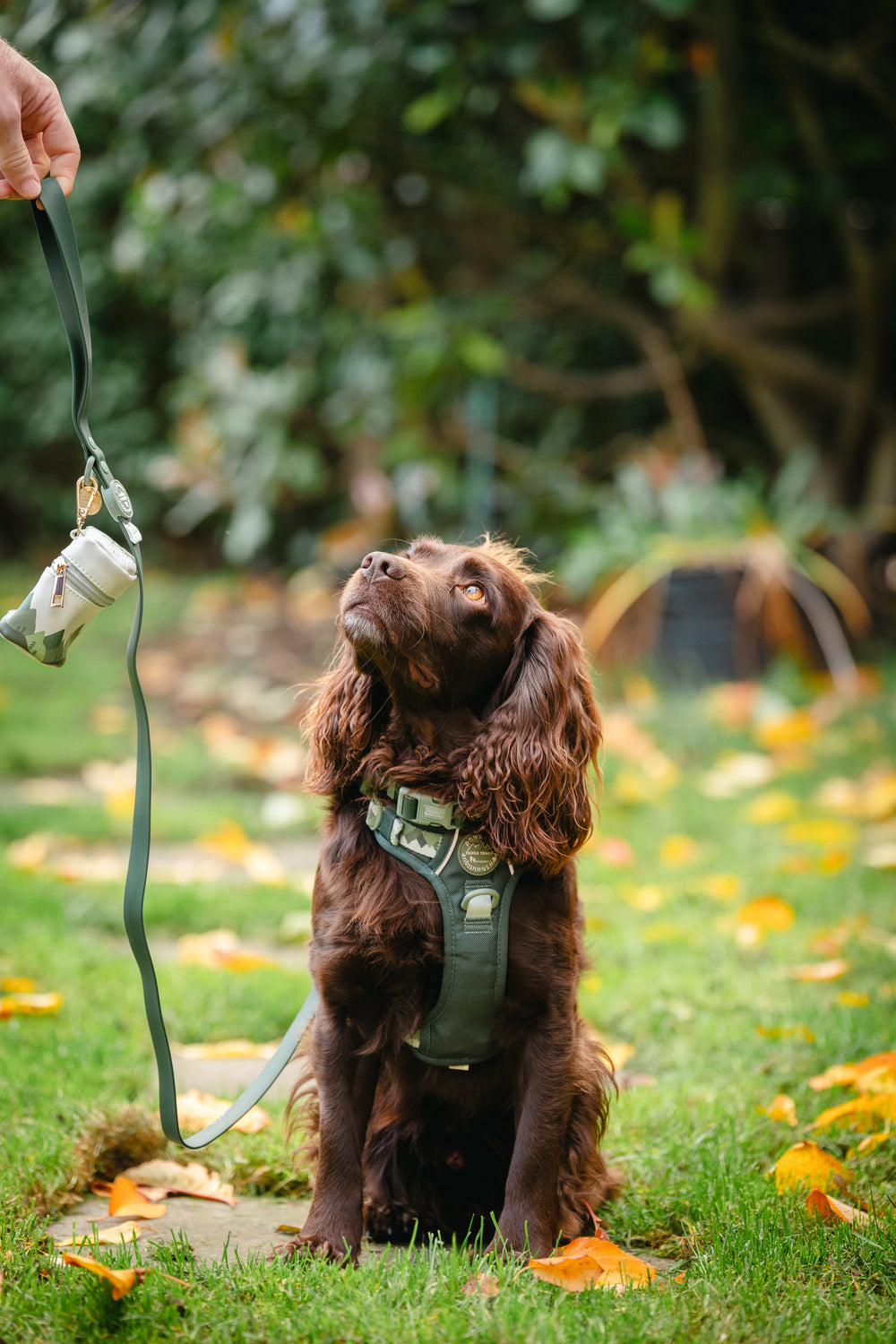 4ft Waterproof Lead - Walkies Ready® Forest Green