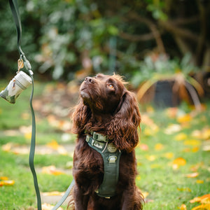 4ft Waterproof Lead - Walkies Ready® Forest Green