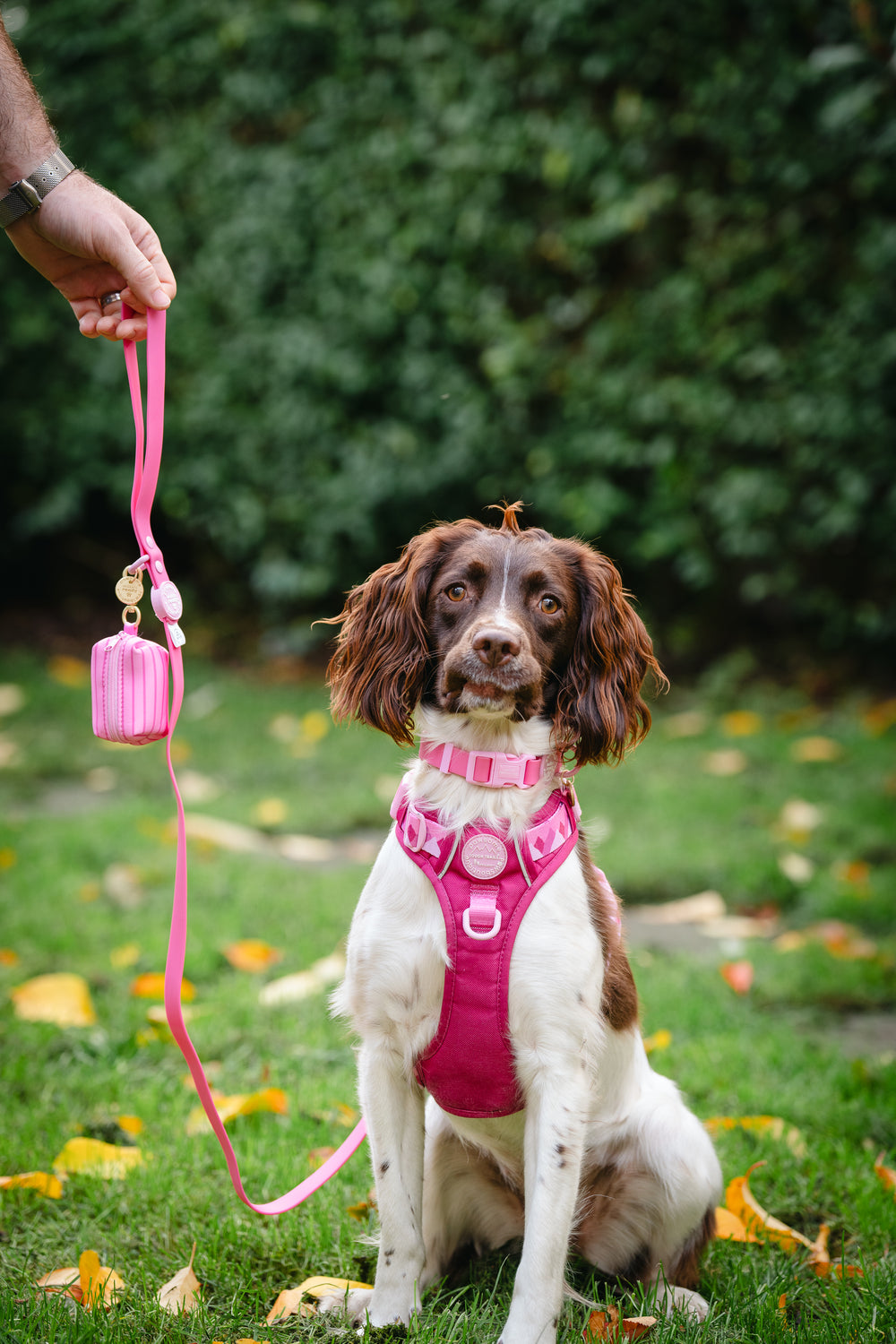 Poo Bag Holder - Walkies Ready® Raspberry Pink