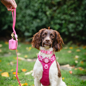 4ft Waterproof Lead - Walkies Ready® Raspberry Pink