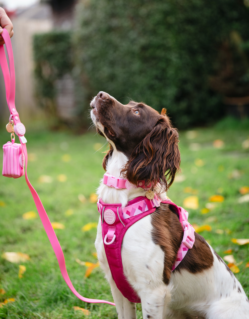 4ft Waterproof Lead - Walkies Ready® Raspberry Pink