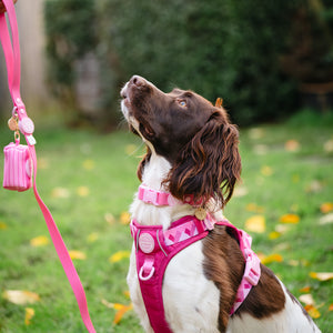 4ft Waterproof Lead - Walkies Ready® Raspberry Pink