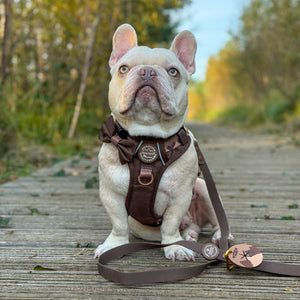 4ft Waterproof Lead - Walkies Ready® Chocolate Brown