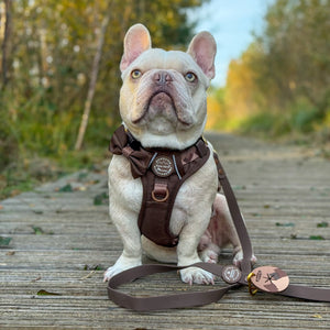 Pawsome Poop Pocket - Walkies Ready® - Chocolate Brown