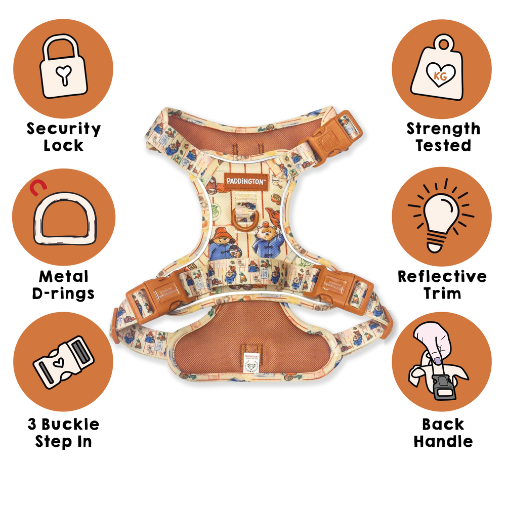 Paddington™ Tough Trails™ Harness - Peckish Paddington