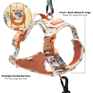 Paddington™ Tough Trails™ Harness - Peckish Paddington