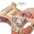 Paddington™ Tough Trails™ Harness - Peckish Paddington
