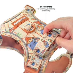 Paddington™ Tough Trails™ Harness - Peckish Paddington