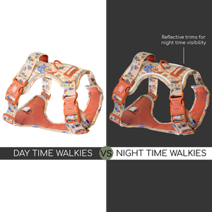 Paddington™ Tough Trails™ Harness - Peckish Paddington