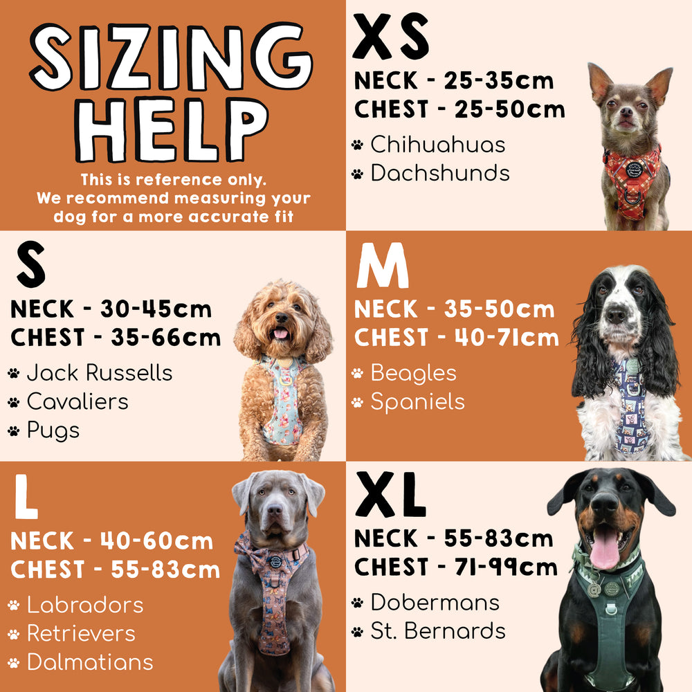 Paddington™ Tough Trails™ Harness - Peckish Paddington