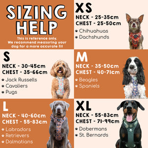 Paddington™ Tough Trails™ Harness - Peckish Paddington