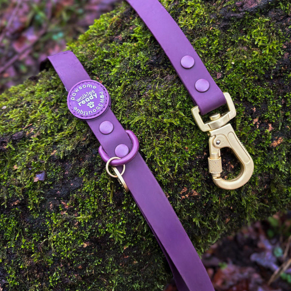 4ft Waterproof Lead - Walkies Ready® Plum