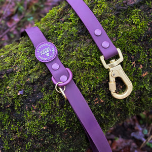 4ft Waterproof Lead - Walkies Ready® Plum