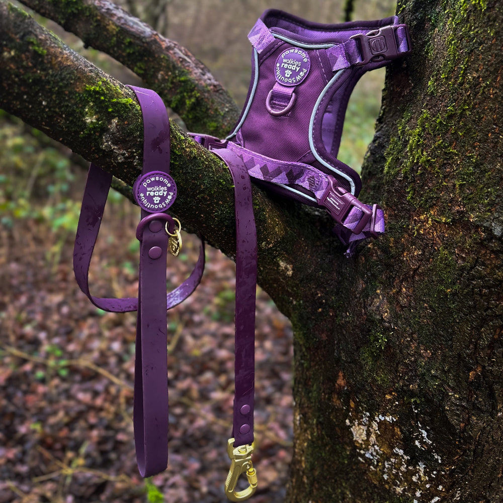 4ft Waterproof Lead - Walkies Ready® Plum