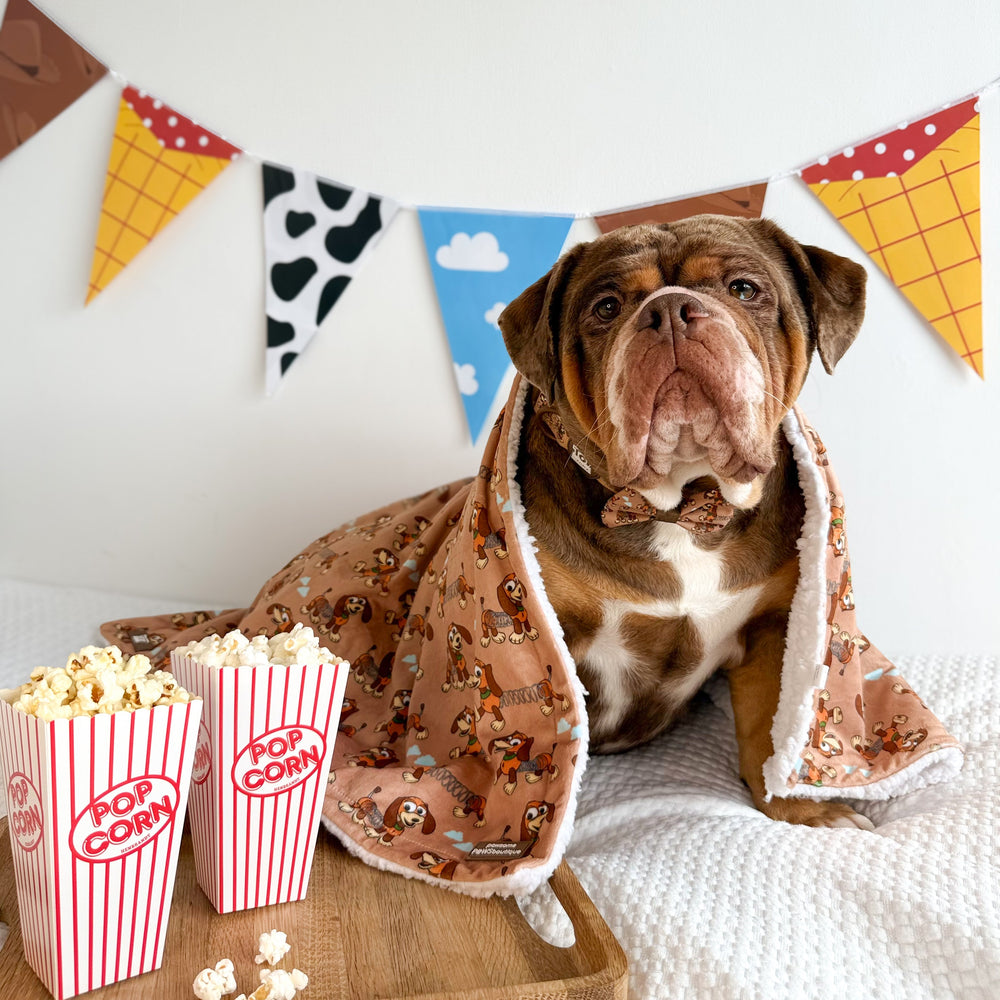 Disney© Dog Blanket - Slinky