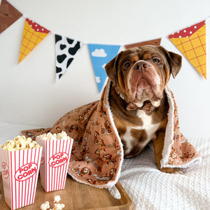 Disney© Dog Blanket - Slinky