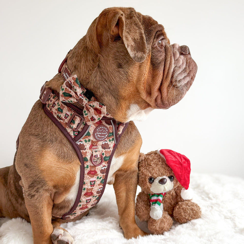 Bow Tie - Snuggle Season