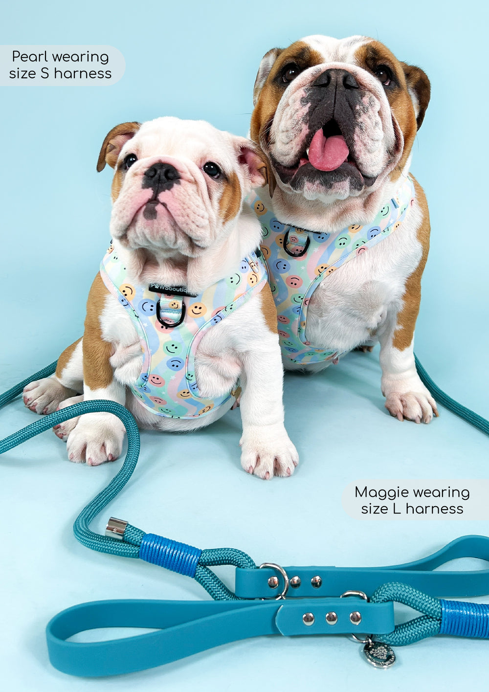 4ft Rope Lead - Teal