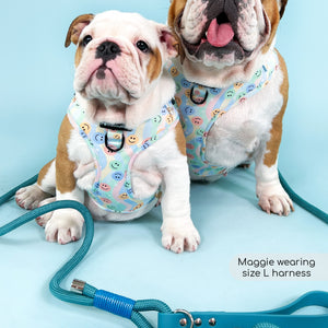 4ft Rope Lead - Teal