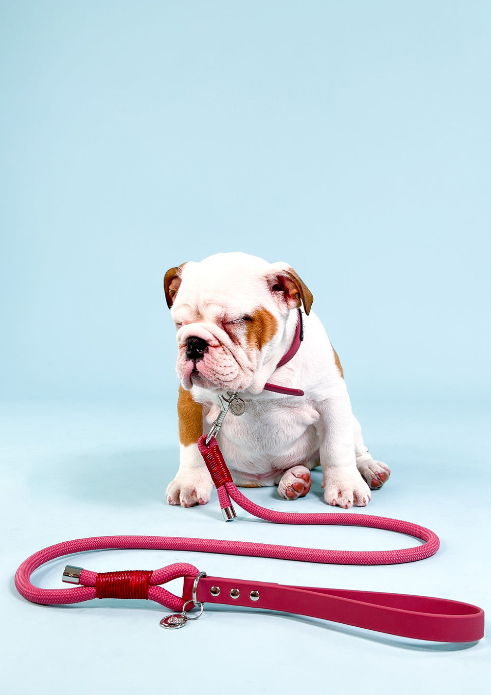 4ft Rope Lead - Wine Red