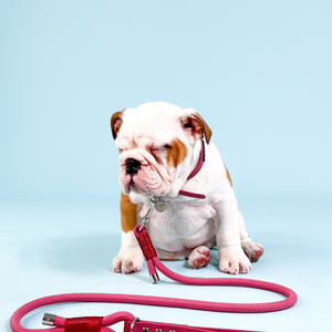 4ft Rope Lead - Wine Red