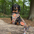 Poo Bag Holder - Rust & Bloom