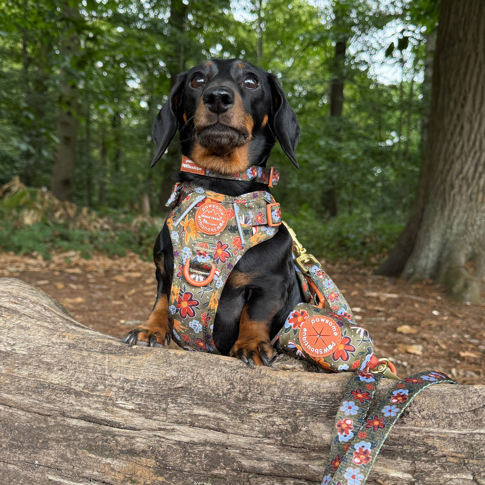 Poo Bag Holder - Rust & Bloom