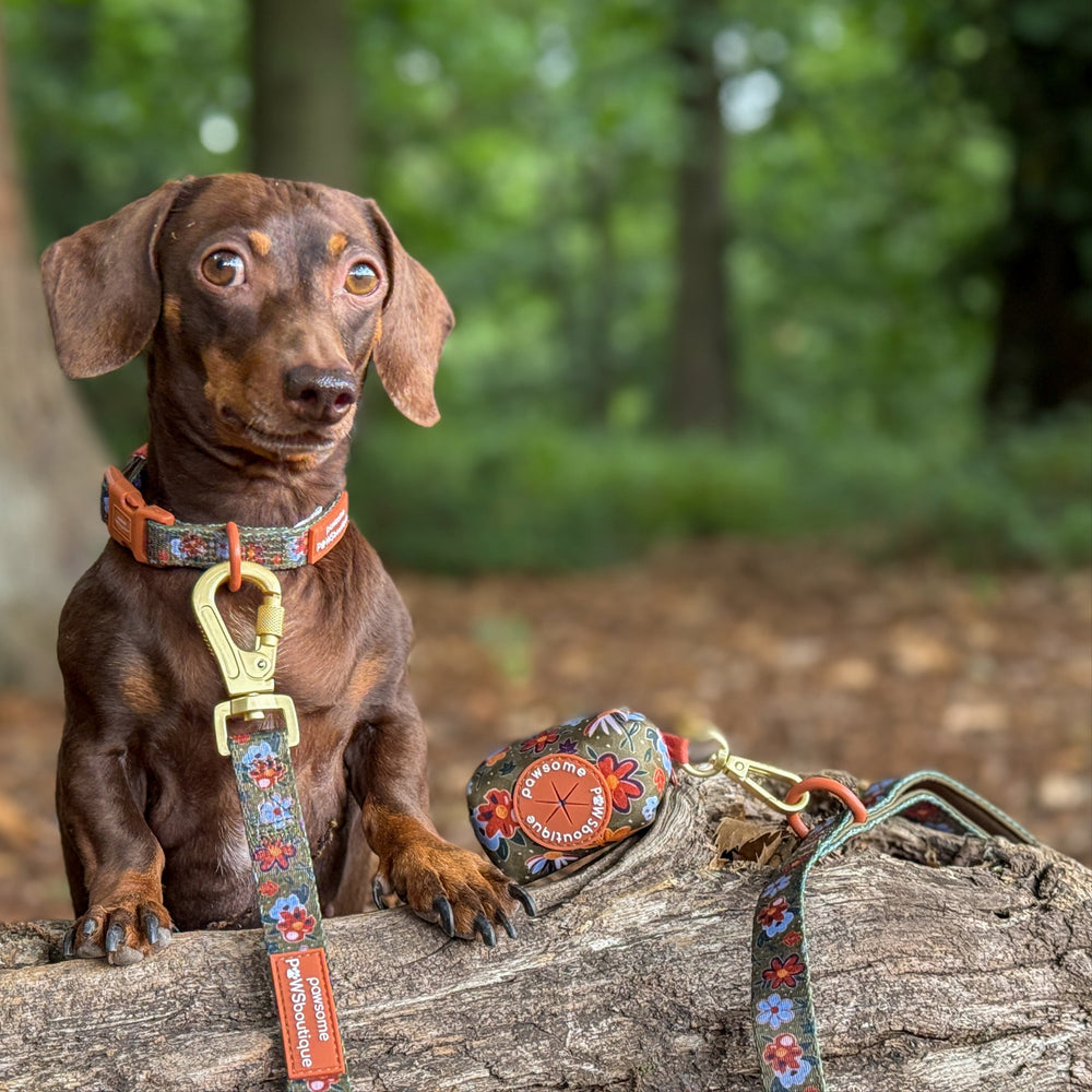 Poo Bag Holder - Rust & Bloom