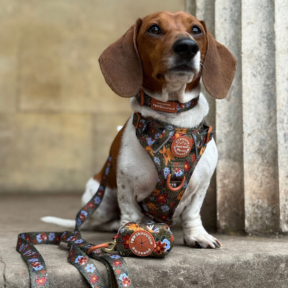 Poo Bag Holder - Rust & Bloom