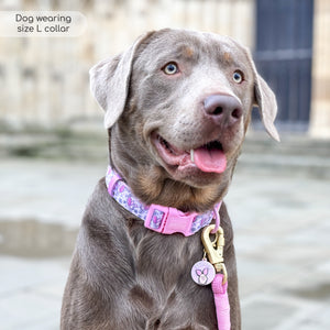 Disney© Collar - Piglet - Pink