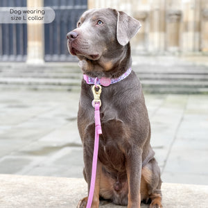 Disney© Collar - Piglet - Pink